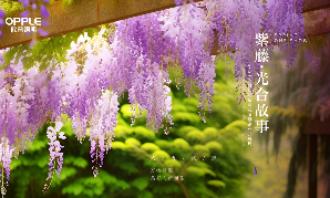 2024jdb电子官网紫藤花节暨企业开放周开幕：技术驱动，生生不息